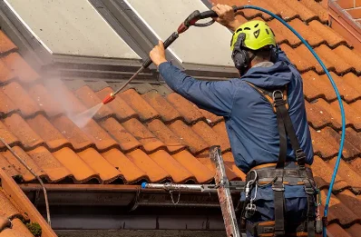 Démoussage et hydrofuge de toiture à Lavaudieu